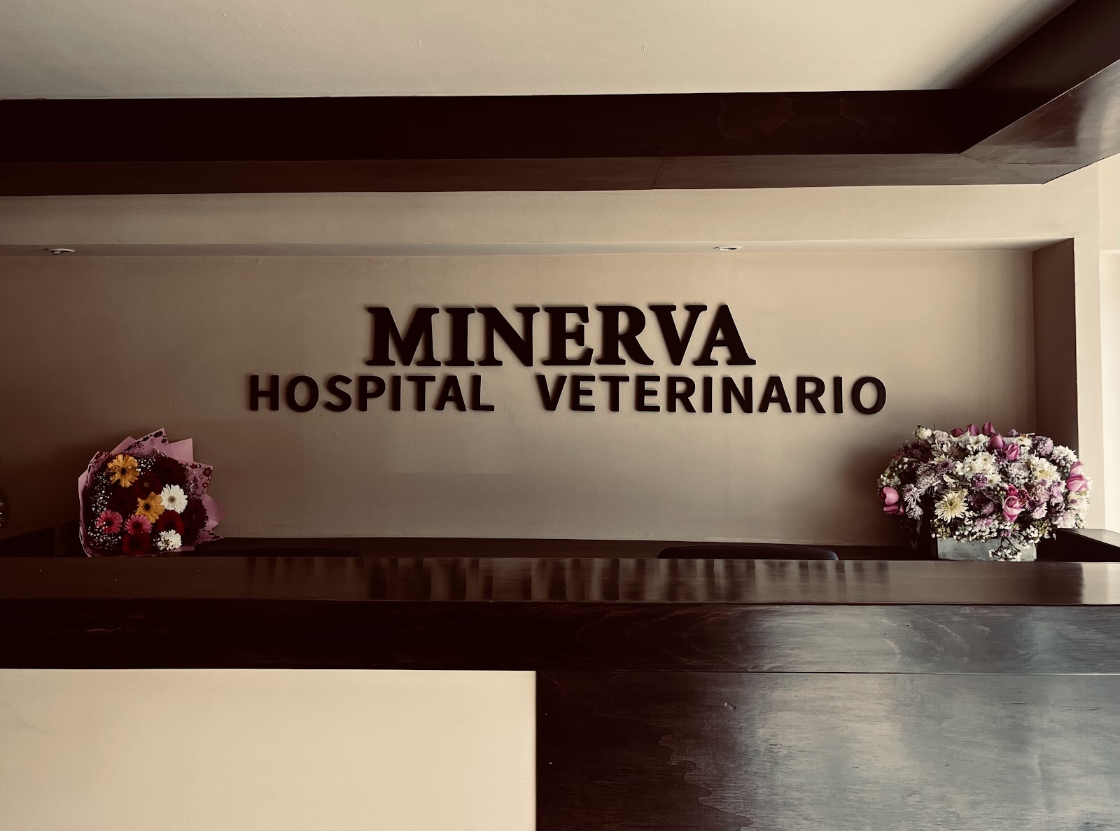 Interior del hospital veterinario Minerva