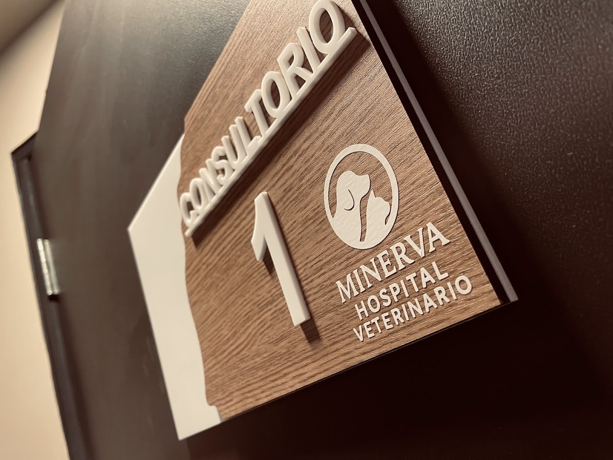 Atención veterinaria en Minerva